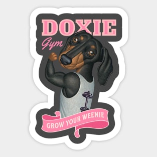 Cute Doxie going to the gym to grow your weenie in pink Sticker